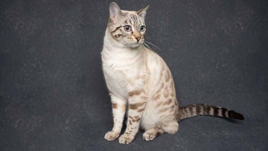 CH Hobs House Felicity Rivers