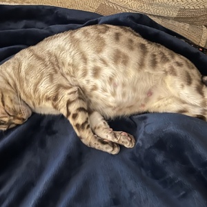 Tilly 2-3-25