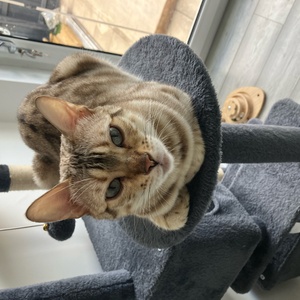 Tilly relaxing 