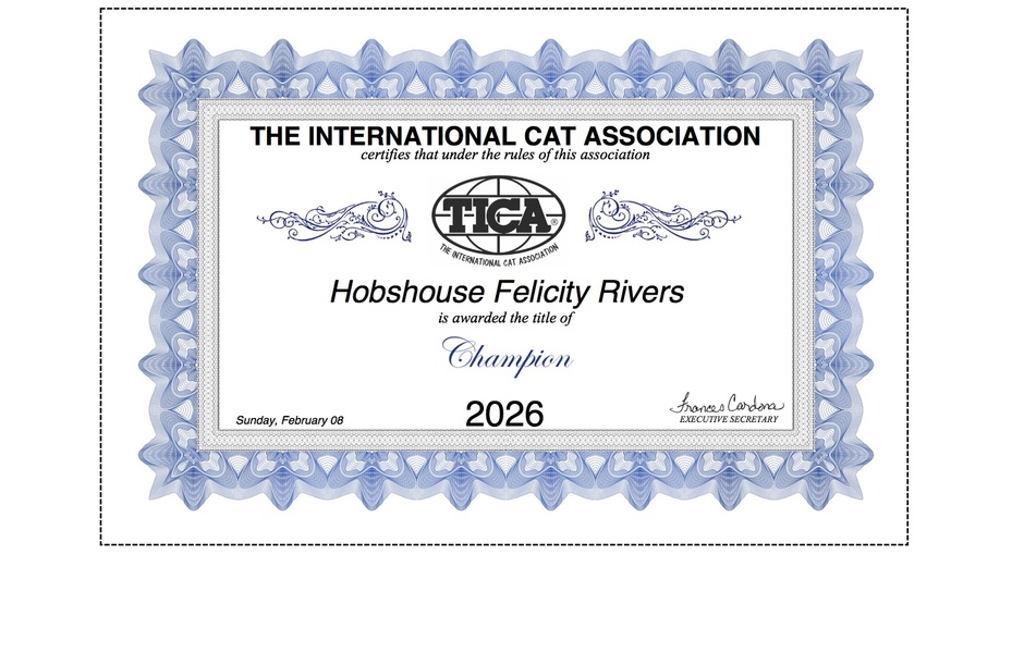 Fliss is a TICA Champion