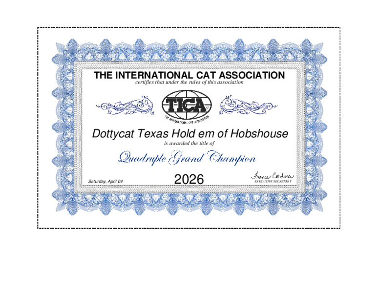 Texas is a Quadruple Grand Champion!