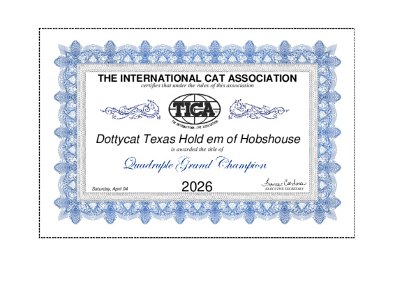 Texas is a Quadruple Grand Champion!