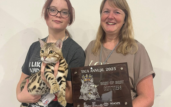 TICA Show News Aug 25